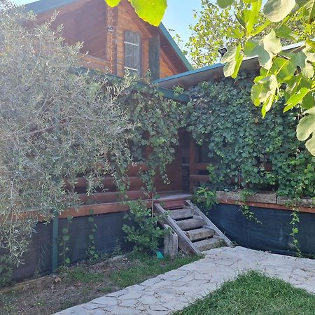 Holiday Home Kite House Улцин Екстериор снимка